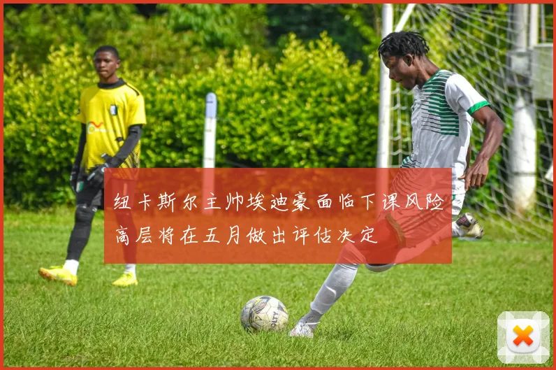 纽卡斯尔主帅埃迪豪面临下课风险高层将在五月做出评估决定